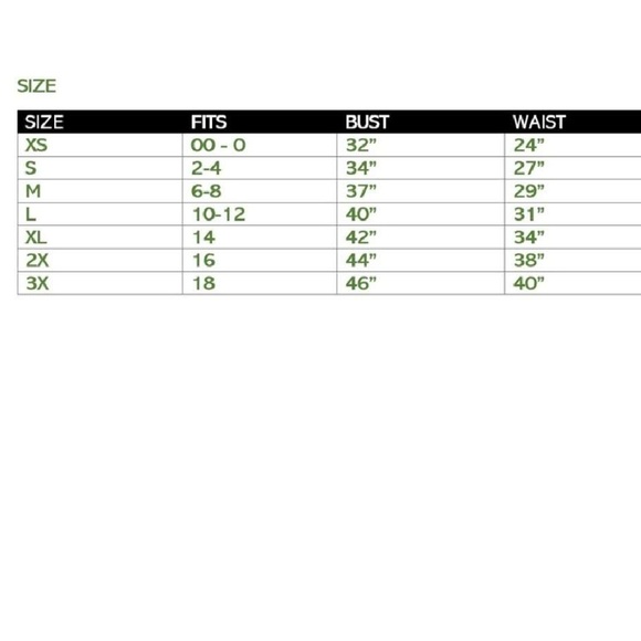 GRETCHEN Sexy Teal Sheer Blouse - Picture 6 of 6